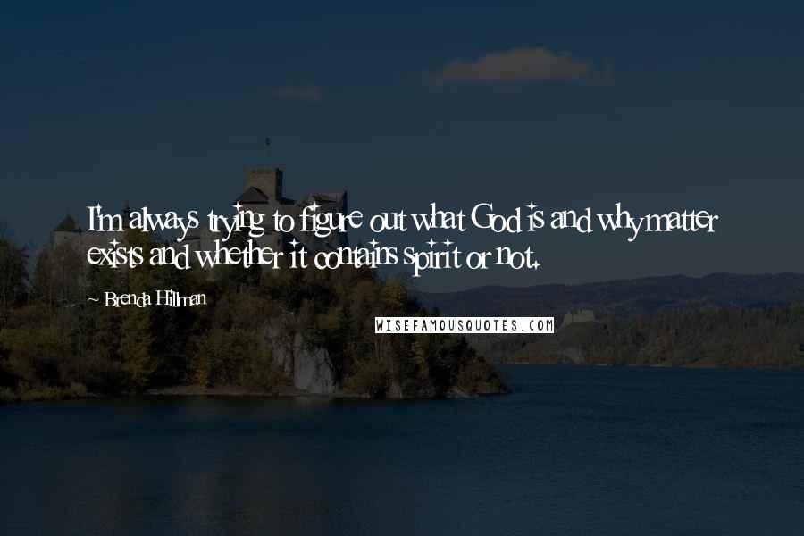 Brenda Hillman Quotes: I'm always trying to figure out what God is and why matter exists and whether it contains spirit or not.