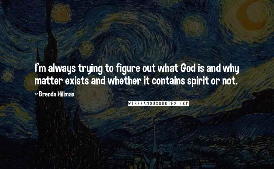 Brenda Hillman Quotes: I'm always trying to figure out what God is and why matter exists and whether it contains spirit or not.