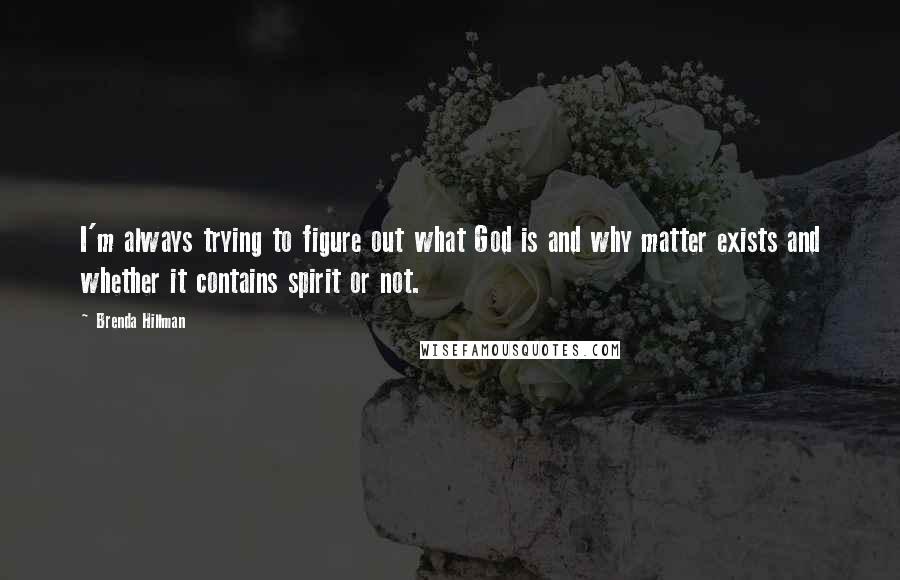 Brenda Hillman Quotes: I'm always trying to figure out what God is and why matter exists and whether it contains spirit or not.