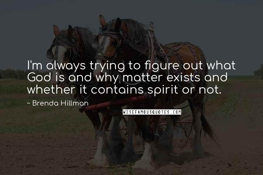 Brenda Hillman Quotes: I'm always trying to figure out what God is and why matter exists and whether it contains spirit or not.