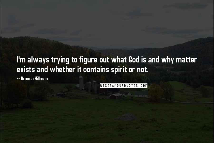 Brenda Hillman Quotes: I'm always trying to figure out what God is and why matter exists and whether it contains spirit or not.