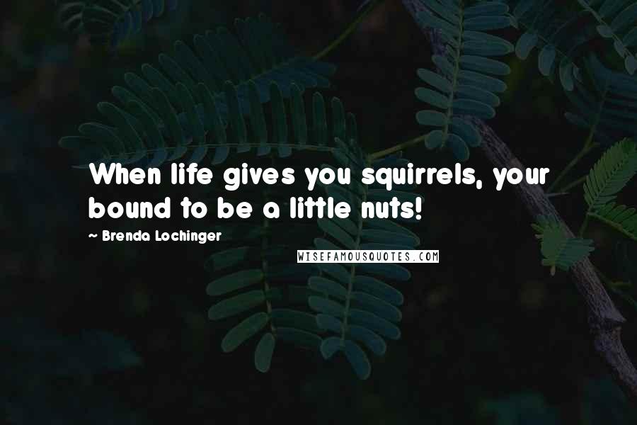 Brenda Lochinger Quotes: When life gives you squirrels, your bound to be a little nuts!