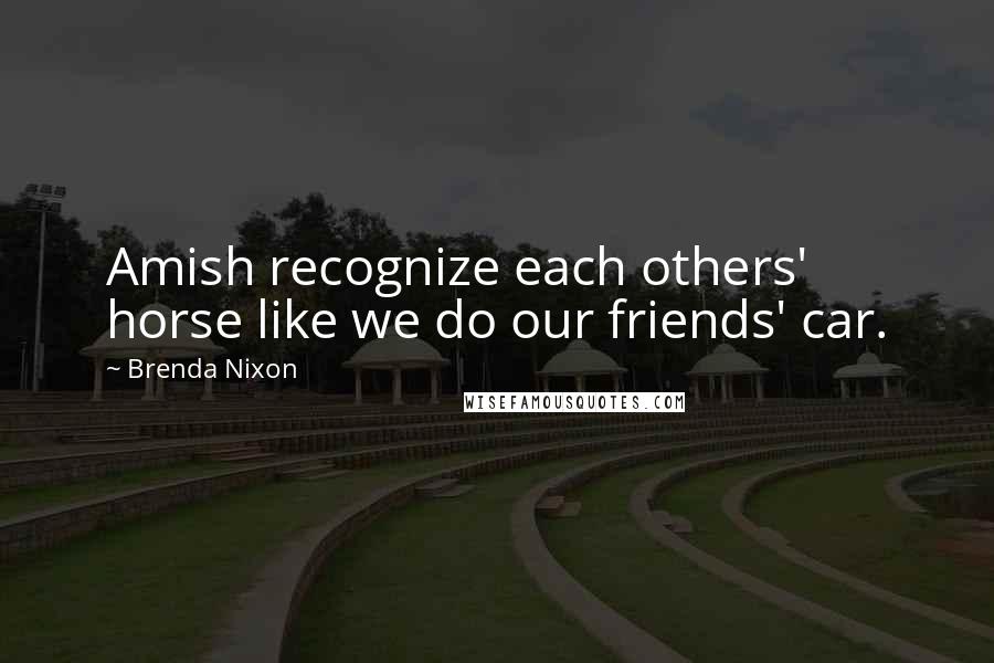 Brenda Nixon Quotes: Amish recognize each others' horse like we do our friends' car.