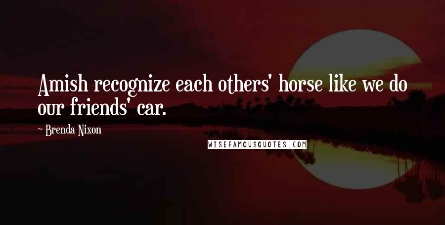 Brenda Nixon Quotes: Amish recognize each others' horse like we do our friends' car.