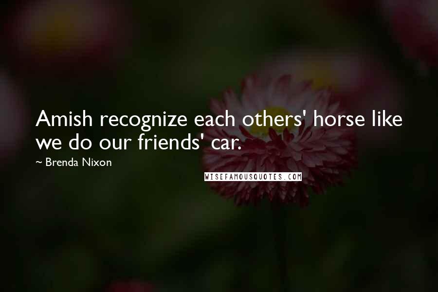 Brenda Nixon Quotes: Amish recognize each others' horse like we do our friends' car.