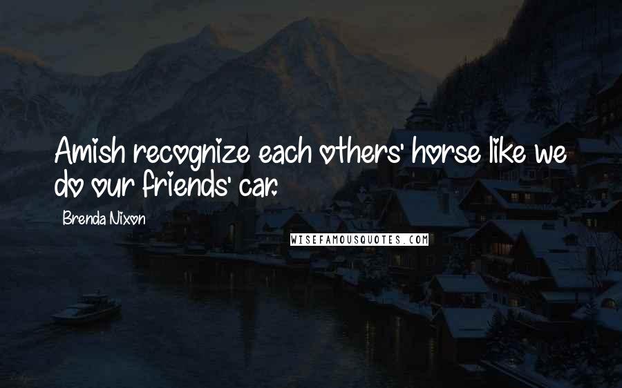 Brenda Nixon Quotes: Amish recognize each others' horse like we do our friends' car.