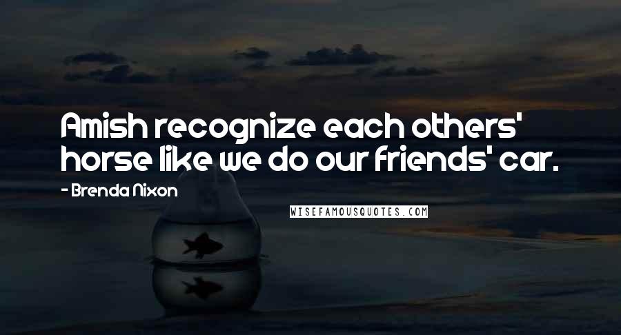 Brenda Nixon Quotes: Amish recognize each others' horse like we do our friends' car.