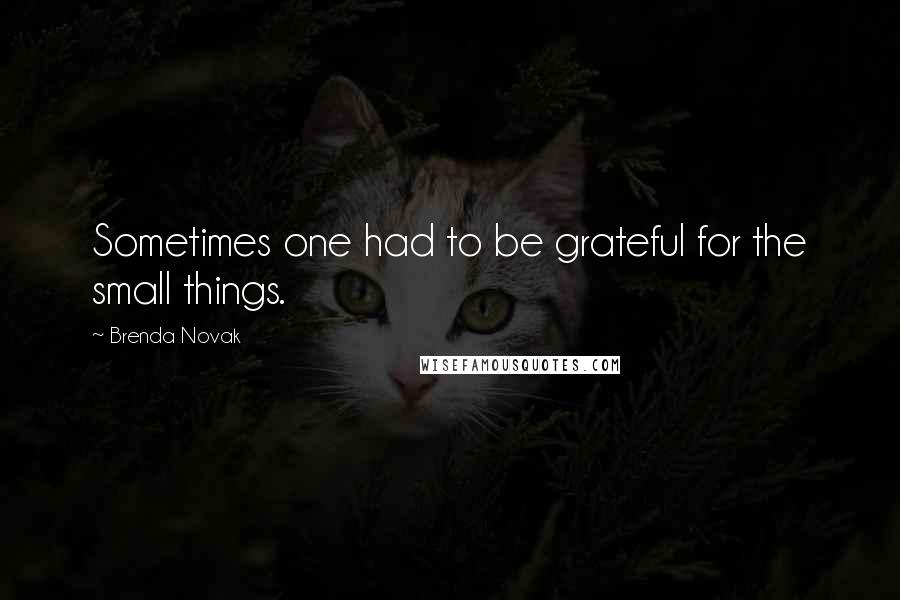 Brenda Novak Quotes: Sometimes one had to be grateful for the small things.