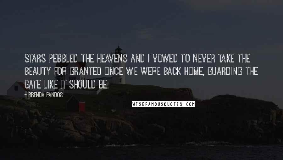 Brenda Pandos Quotes: Stars pebbled the heavens and I vowed to never take the beauty for granted once we were back home, guarding the gate like it should be.