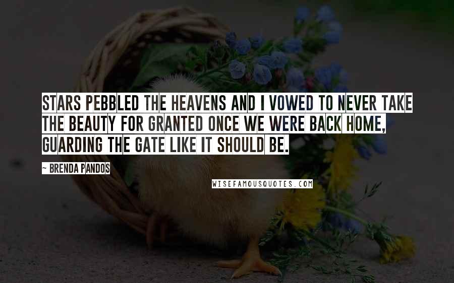 Brenda Pandos Quotes: Stars pebbled the heavens and I vowed to never take the beauty for granted once we were back home, guarding the gate like it should be.