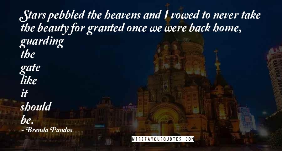 Brenda Pandos Quotes: Stars pebbled the heavens and I vowed to never take the beauty for granted once we were back home, guarding the gate like it should be.