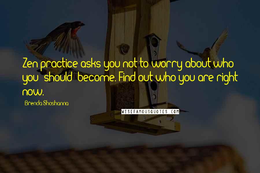 Brenda Shoshanna Quotes: Zen practice asks you not to worry about who you 'should' become. Find out who you are right now.