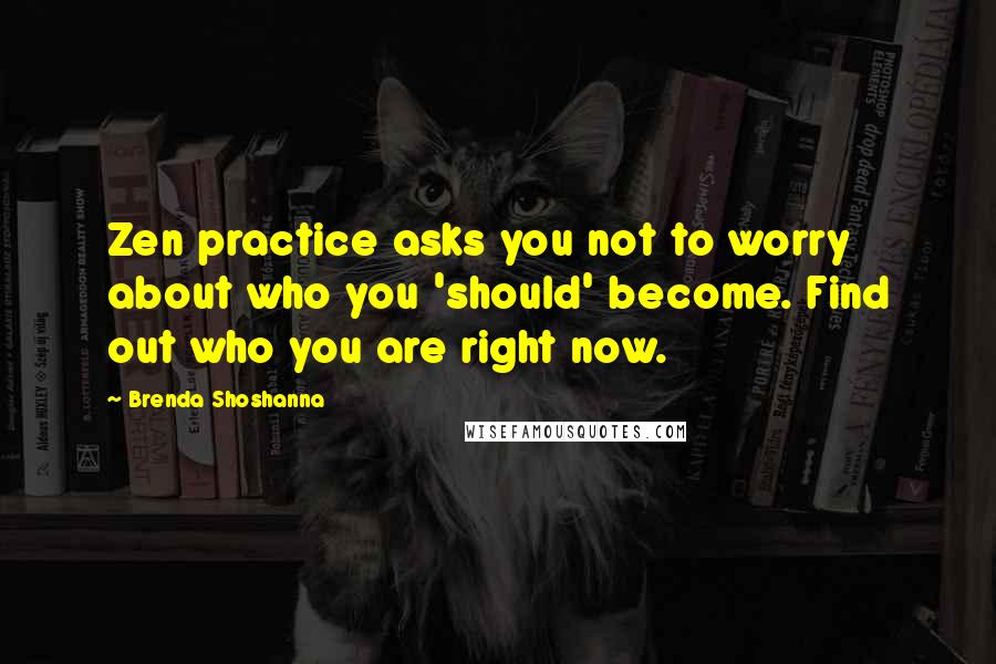 Brenda Shoshanna Quotes: Zen practice asks you not to worry about who you 'should' become. Find out who you are right now.