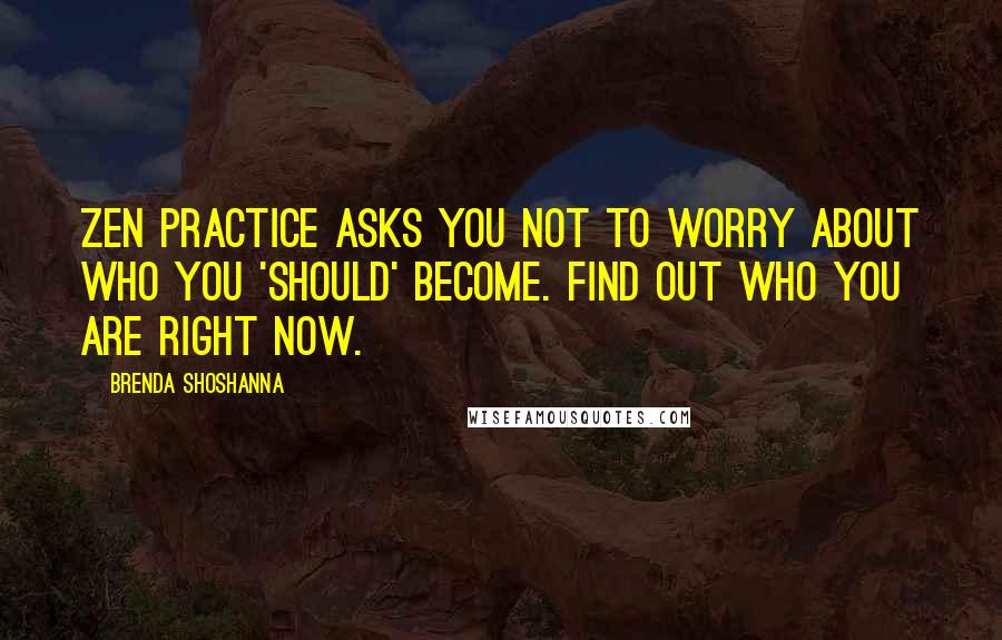 Brenda Shoshanna Quotes: Zen practice asks you not to worry about who you 'should' become. Find out who you are right now.