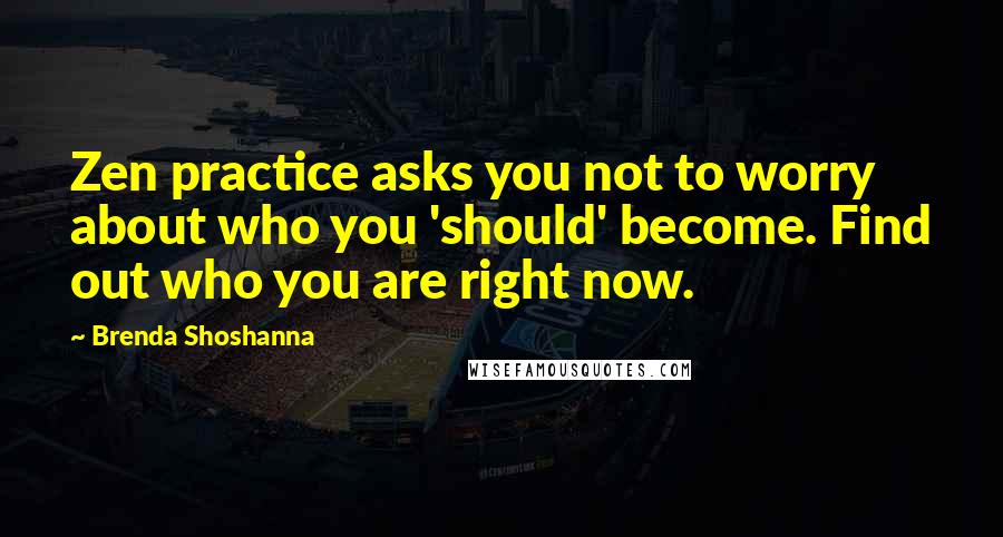 Brenda Shoshanna Quotes: Zen practice asks you not to worry about who you 'should' become. Find out who you are right now.