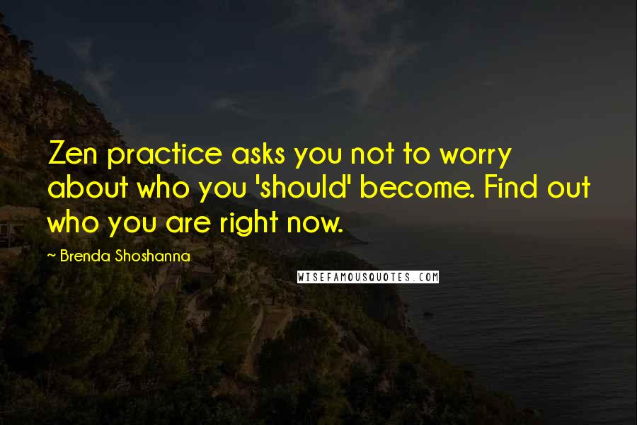 Brenda Shoshanna Quotes: Zen practice asks you not to worry about who you 'should' become. Find out who you are right now.