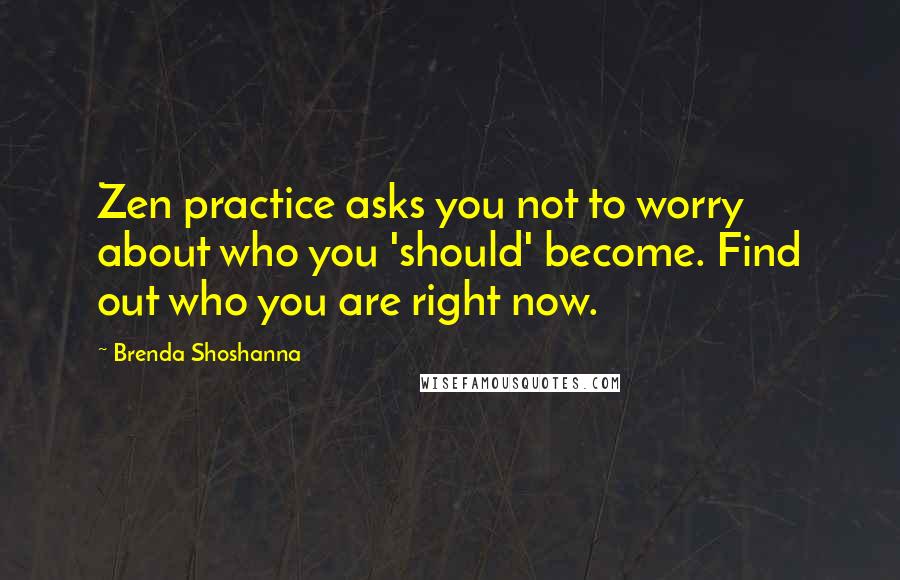 Brenda Shoshanna Quotes: Zen practice asks you not to worry about who you 'should' become. Find out who you are right now.