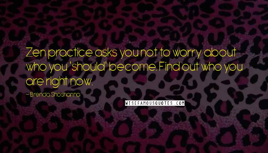 Brenda Shoshanna Quotes: Zen practice asks you not to worry about who you 'should' become. Find out who you are right now.