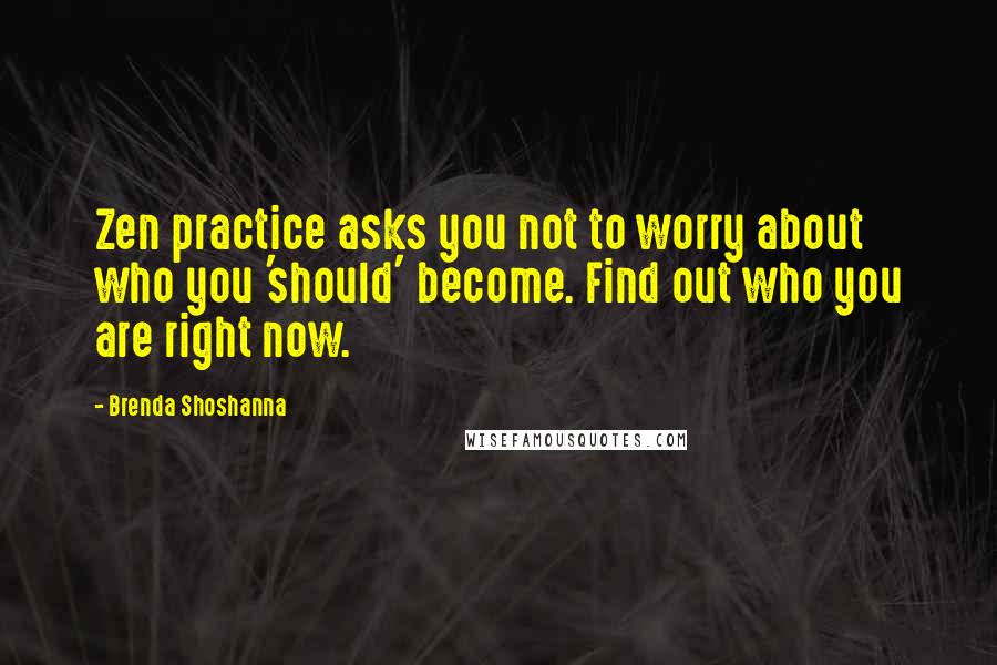 Brenda Shoshanna Quotes: Zen practice asks you not to worry about who you 'should' become. Find out who you are right now.