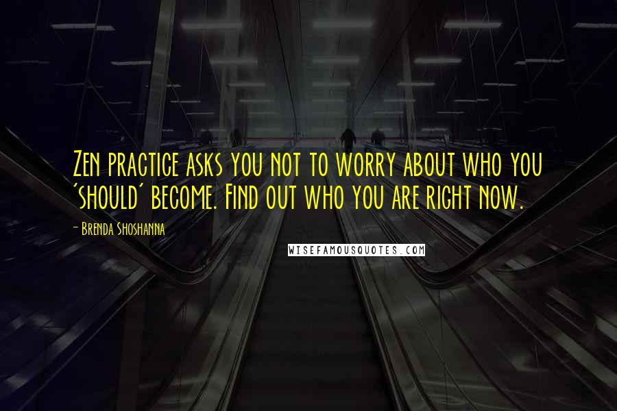 Brenda Shoshanna Quotes: Zen practice asks you not to worry about who you 'should' become. Find out who you are right now.