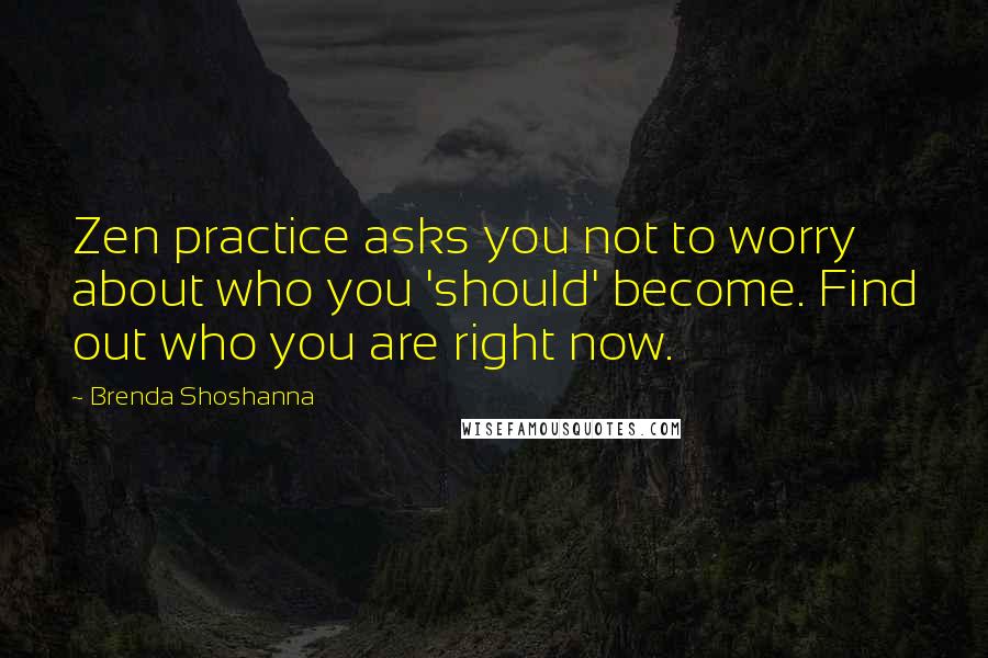 Brenda Shoshanna Quotes: Zen practice asks you not to worry about who you 'should' become. Find out who you are right now.