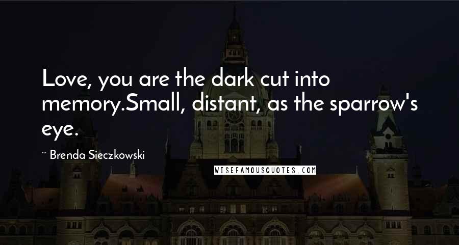 Brenda Sieczkowski Quotes: Love, you are the dark cut into memory.Small, distant, as the sparrow's eye.