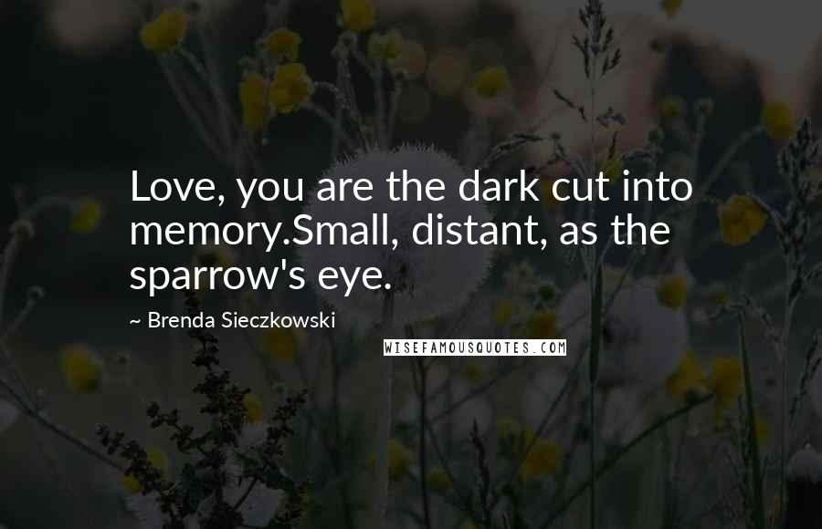 Brenda Sieczkowski Quotes: Love, you are the dark cut into memory.Small, distant, as the sparrow's eye.