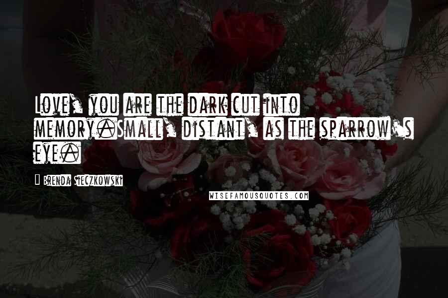 Brenda Sieczkowski Quotes: Love, you are the dark cut into memory.Small, distant, as the sparrow's eye.