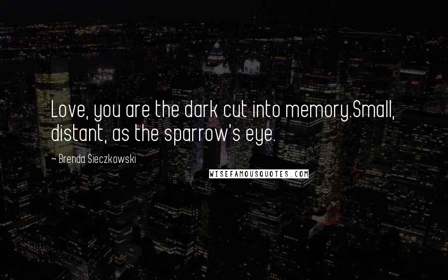 Brenda Sieczkowski Quotes: Love, you are the dark cut into memory.Small, distant, as the sparrow's eye.