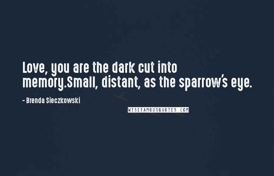 Brenda Sieczkowski Quotes: Love, you are the dark cut into memory.Small, distant, as the sparrow's eye.
