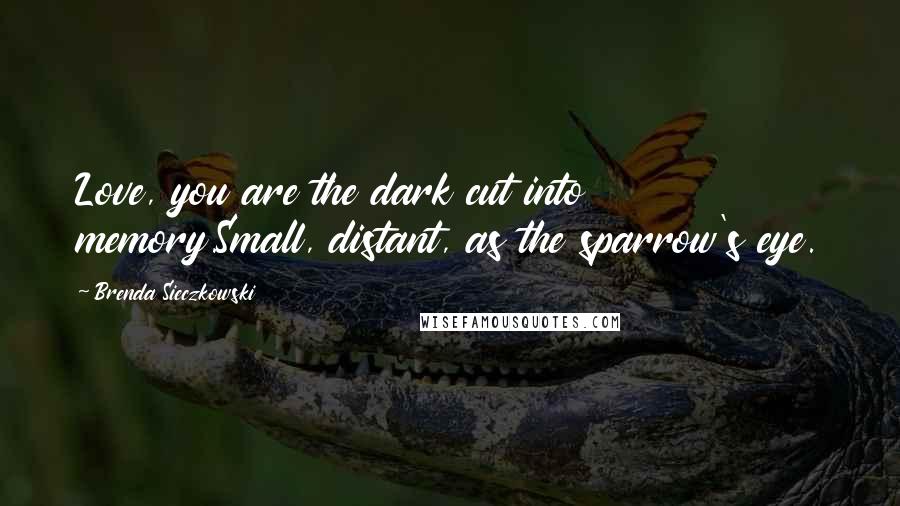 Brenda Sieczkowski Quotes: Love, you are the dark cut into memory.Small, distant, as the sparrow's eye.