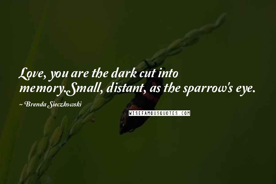 Brenda Sieczkowski Quotes: Love, you are the dark cut into memory.Small, distant, as the sparrow's eye.