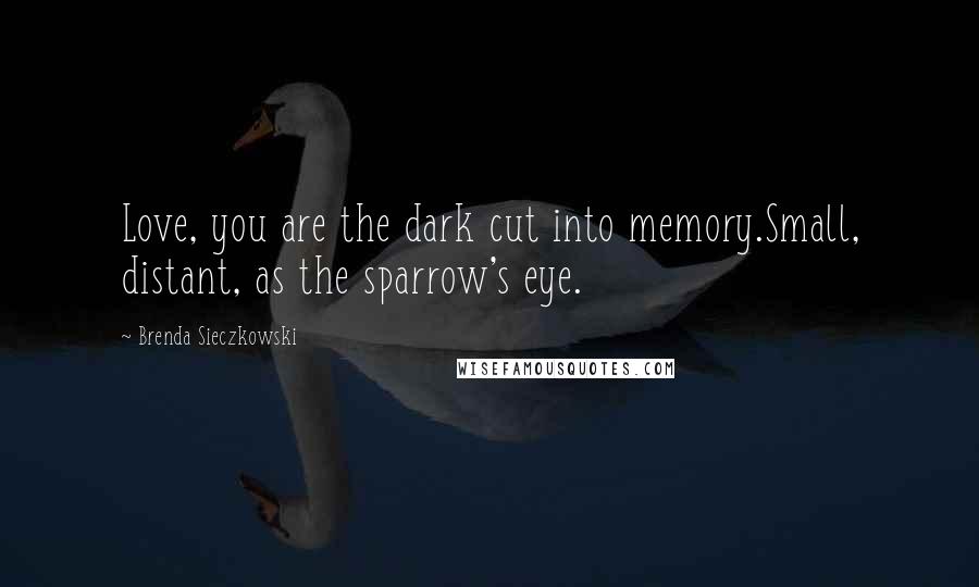 Brenda Sieczkowski Quotes: Love, you are the dark cut into memory.Small, distant, as the sparrow's eye.