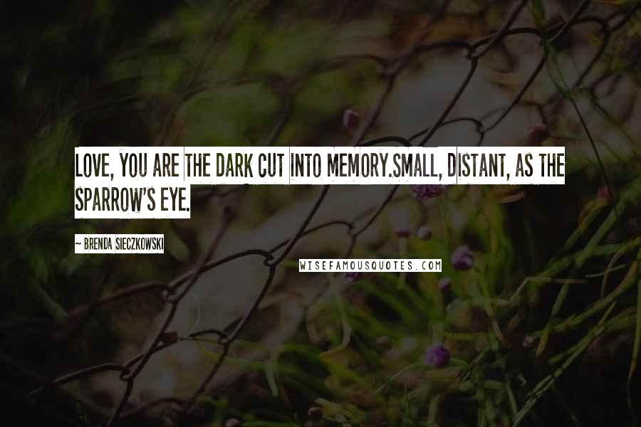 Brenda Sieczkowski Quotes: Love, you are the dark cut into memory.Small, distant, as the sparrow's eye.