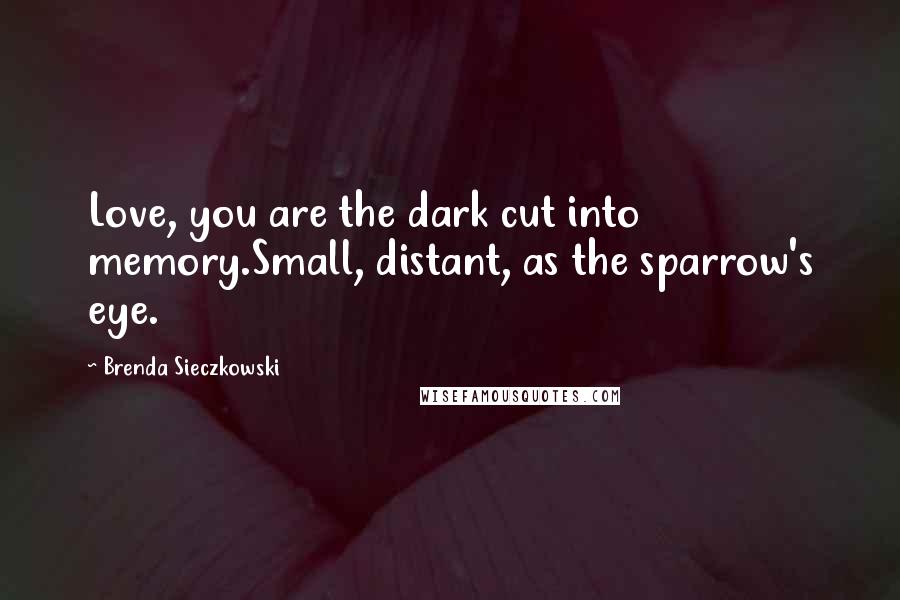 Brenda Sieczkowski Quotes: Love, you are the dark cut into memory.Small, distant, as the sparrow's eye.