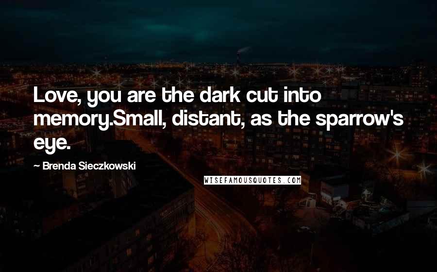 Brenda Sieczkowski Quotes: Love, you are the dark cut into memory.Small, distant, as the sparrow's eye.