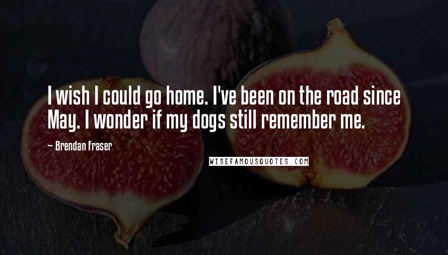 Brendan Fraser Quotes: I wish I could go home. I've been on the road since May. I wonder if my dogs still remember me.