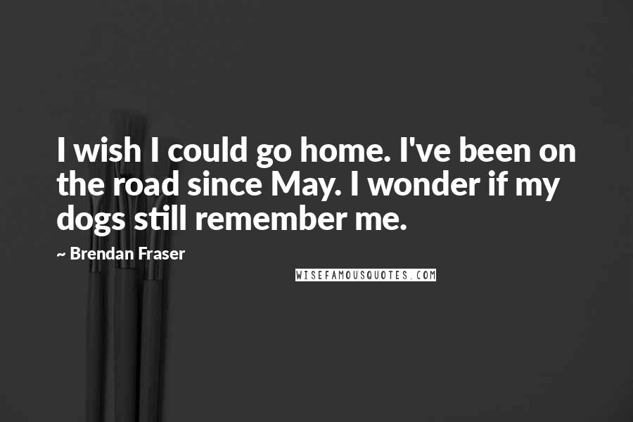 Brendan Fraser Quotes: I wish I could go home. I've been on the road since May. I wonder if my dogs still remember me.