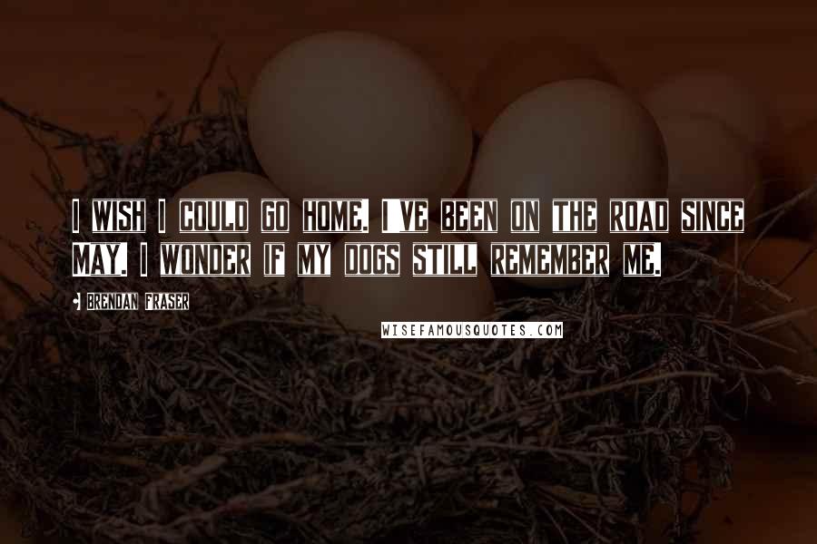 Brendan Fraser Quotes: I wish I could go home. I've been on the road since May. I wonder if my dogs still remember me.