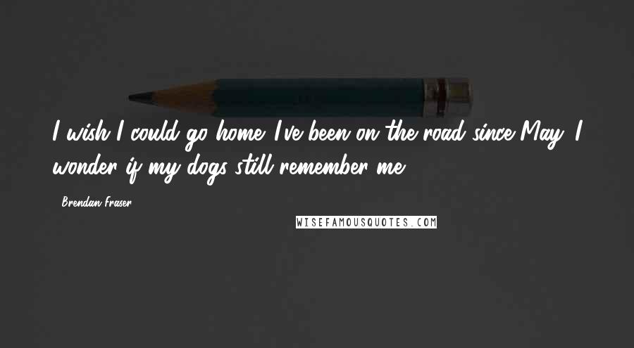 Brendan Fraser Quotes: I wish I could go home. I've been on the road since May. I wonder if my dogs still remember me.