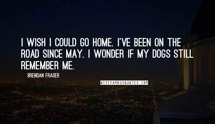 Brendan Fraser Quotes: I wish I could go home. I've been on the road since May. I wonder if my dogs still remember me.