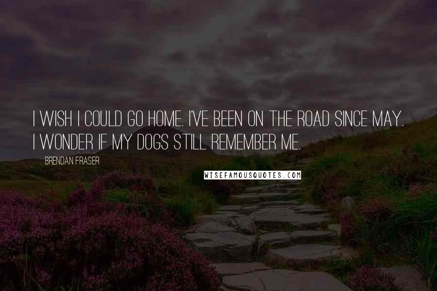 Brendan Fraser Quotes: I wish I could go home. I've been on the road since May. I wonder if my dogs still remember me.