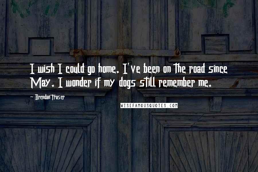 Brendan Fraser Quotes: I wish I could go home. I've been on the road since May. I wonder if my dogs still remember me.