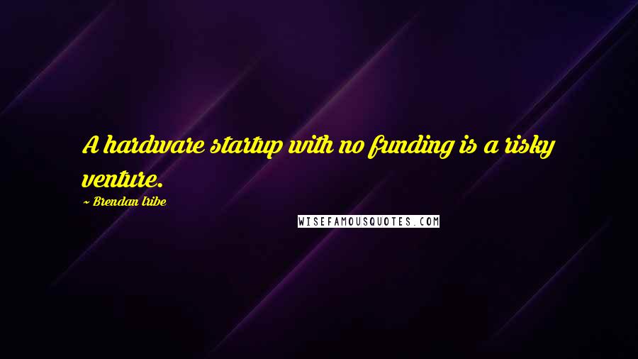 Brendan Iribe Quotes: A hardware startup with no funding is a risky venture.