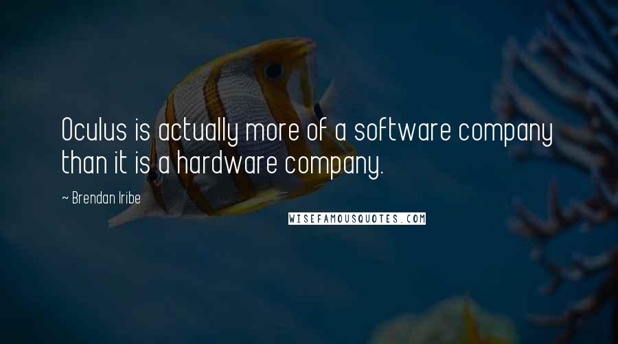 Brendan Iribe Quotes: Oculus is actually more of a software company than it is a hardware company.