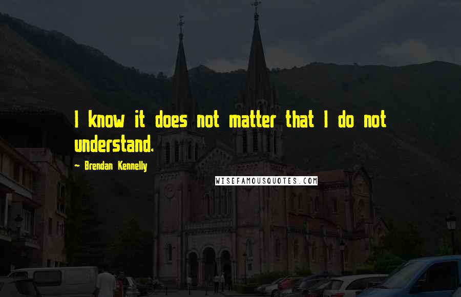 Brendan Kennelly Quotes: I know it does not matter that I do not understand.