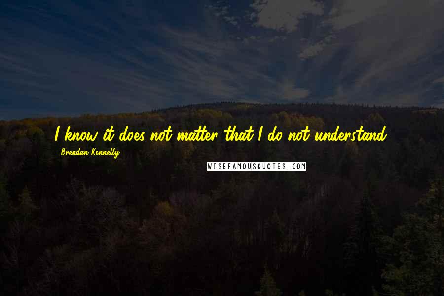 Brendan Kennelly Quotes: I know it does not matter that I do not understand.