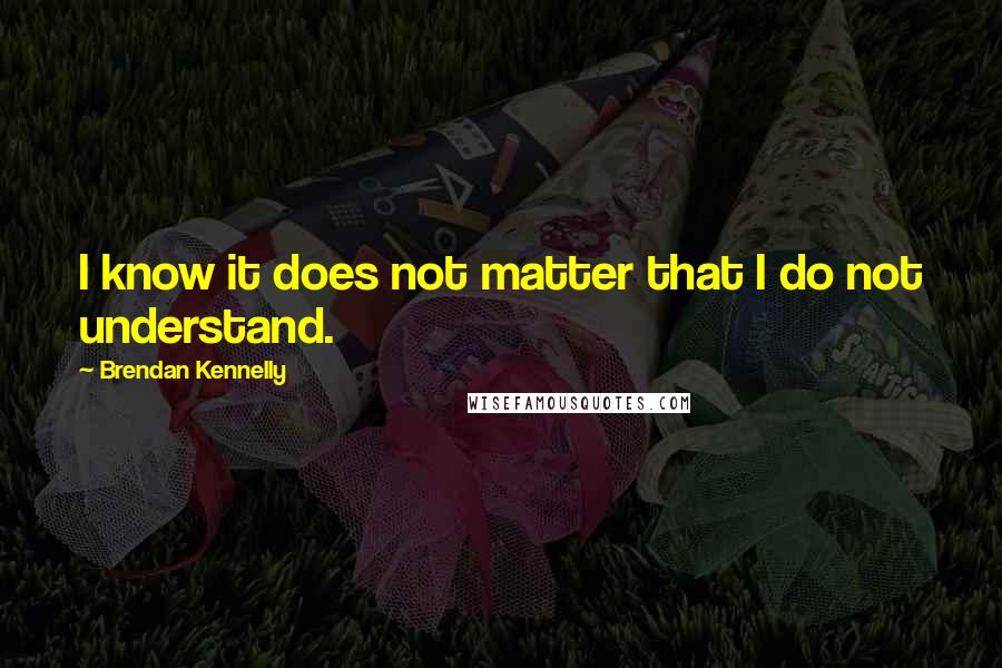 Brendan Kennelly Quotes: I know it does not matter that I do not understand.