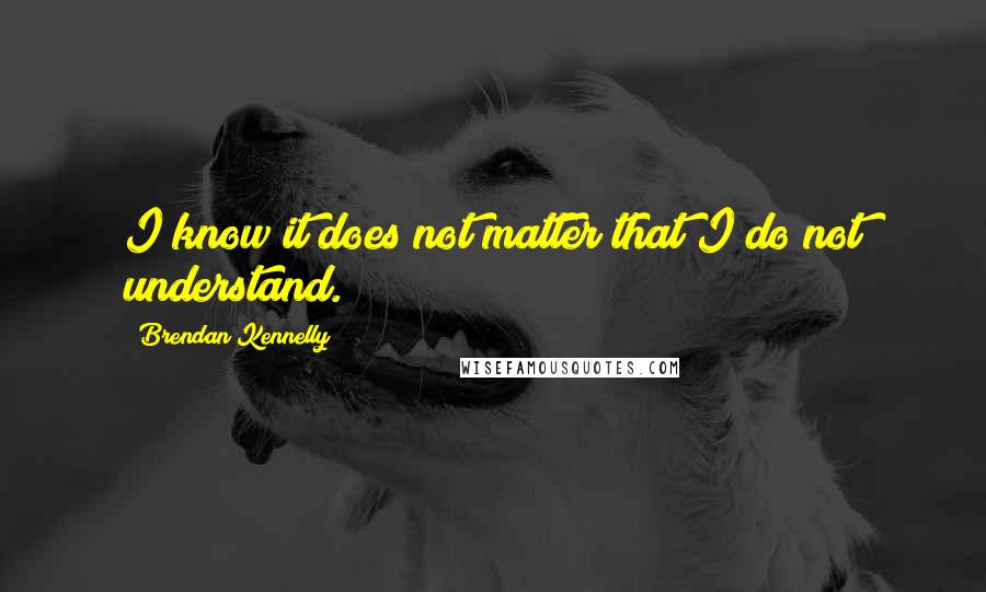 Brendan Kennelly Quotes: I know it does not matter that I do not understand.