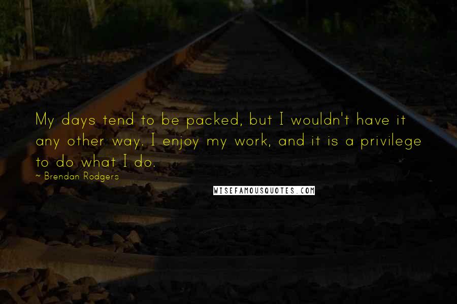 Brendan Rodgers Quotes: My days tend to be packed, but I wouldn't have it any other way. I enjoy my work, and it is a privilege to do what I do.